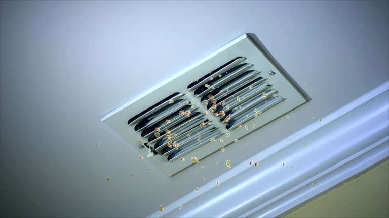 Best Home Air Vent Cleaning  in New Holland, PA